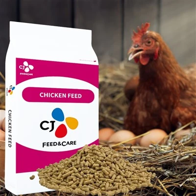 Pellets ti couche ti poulet
